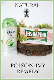 natural poison ivy remedy creative