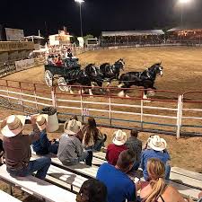 Photo0 Jpg Picture Of Prescott Frontier Days Worlds