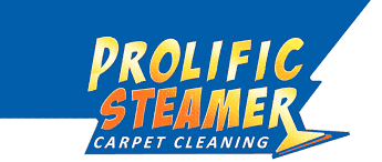 carpet cleaning silver spring