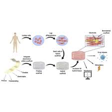 engineering smart hybrid tissues with