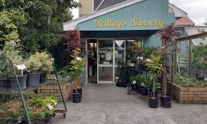 pedleys nursery gardening is what we