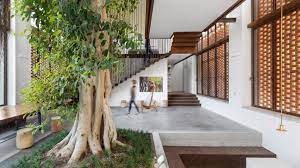 Homes Featuring Verdant Indoor Trees