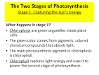 2 main parts of photosynthesis <?=substr(md5('https://encrypted-tbn0.gstatic.com/images?q=tbn:ANd9GcSAA7vnLwiuOa3_-gMxcfzB0js251WWLRjZ3F_PkX6BqUAj7tva9MKYkCQ'), 0, 7); ?>