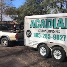 acadian tree stump removal service