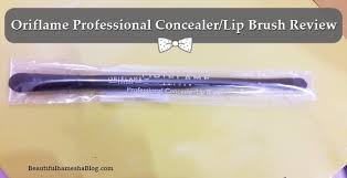 oriflame professional concealer lip