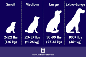 dog weight calculator how big will