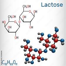 lactose milk sugar molecule it is a