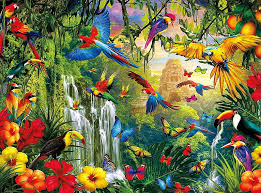 hd tropical rainforest wallpapers peakpx