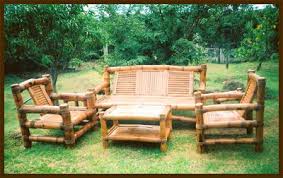 The giant timber can grow to over 98 feet tall. 11 Bamboo Furniture Ideas Bamboo Furniture Bamboo Furniture