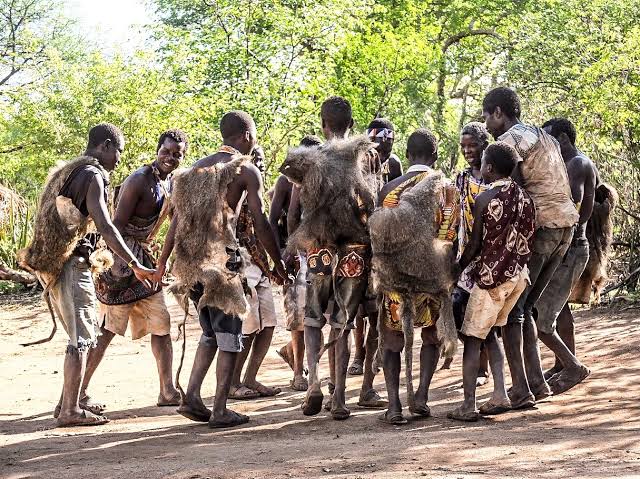 African History: Everything About "Hadza Tribe", Why They Don't Grow Food, Culture, Belief