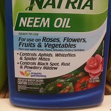 Here are a few natural insect repellent recipes: How To Make Your Own Neem Oil Pesticide Greener Ideal