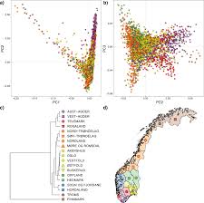 the genetic structure of norway