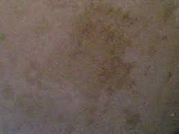 greasy gradual stains on carpeting
