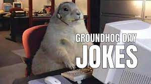 55 Funny Groundhog Day Jokes Puns In 2023 Humornama gambar png