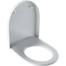 Overlapping Toilet Seat With Metal Hinges