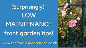 best low maintenance front garden tips