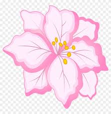 Download transparent pink flower png for free on pngkey.com. White Pink Flower Png Clip Art Image Pink And White Flowers Png Transparent Png 7000x6829 287809 Pngfind
