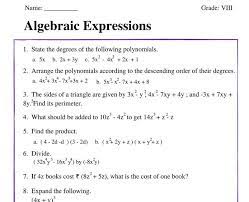 algebraic expressions class 8
