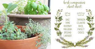 Spring With An Herb Garden