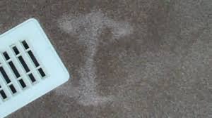bleach stain removal carpet repair