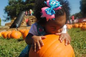 great family fall activities in albany area