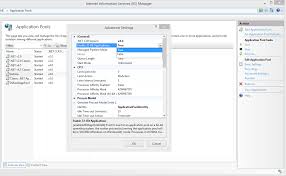 iis and asp net 4 0 settings before