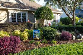 Make Your Yard Florida Friendly With