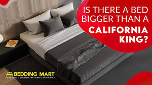 bed bigger than a california king