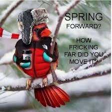 Image result for cardinal cartoon about spring
