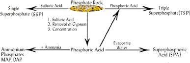 Phosphate Fertilizers Manufacturing Process Of Phosphate