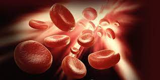 Mutasi genetik yang terjadi pada hemofilia menyebabkan darah kekurangan protein pembentuk faktor pembekuan. Hemofilia Una Revision De La Literatura
