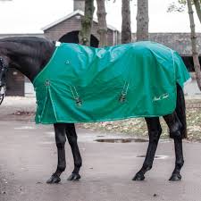 mark todd lightweight turnout rug