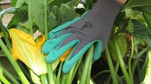 The 5 Best Gardening Gloves Of 2023