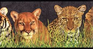 Buy Nature Wilderness Woodland Cheetah