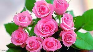 Selepas beberapa saat yang lalu, kami telah mengkaji maksud bunga ros berdasarkan warna umum. Makna Di Balik Indahnya Bunga Mawar Showbiz Liputan6 Com