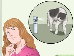 Cats can be discouraged from jumping onto the kitchen counter by applyi. How To Keep Cats Off The Dinner Table 8 Steps With Pictures