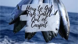 how to get fish smell out of carpet