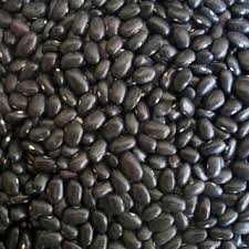 black beans vs soybeans what is the