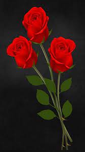 3d red roses flower love natural