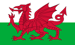 Image result for welsh flag