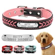 Dog socks and cat socks are the gift for any animal lover, 100% customizable for any occasion such as birthdays, anniversaries, christmas, & stocking stuffers. Personalised Dog Collar Custom Soft Padded Pet Collars Name Id Tag Engraved Free Ebay