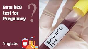 What Is Beta Hcg Test For Pregnancy 1mg