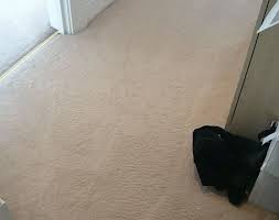 carpet cleaning enfield en1 great