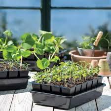 Growease Seed Starter Kit Tools