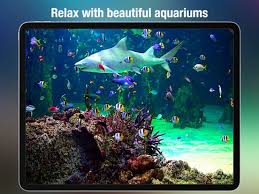 aquarium live real fish tank app