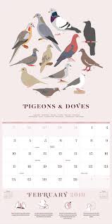 Birds Of North America By Pop Chart Lab Wall Calendar 2019