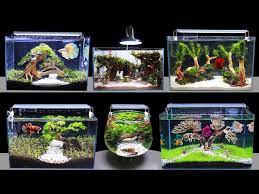 diy aquascape aquarium decoration ideas