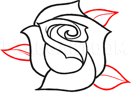 Here i will show you a method to draw a rose in simple video tutorial. How To Sketch A Rose Step By Step Drawing Guide By Dawn Dragoart Com