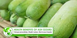 Winter melon is a type of vegetable that is lot similar to water melon. 17 Benefits Of Ash Gourd Winter Melon For Health Skin Hair