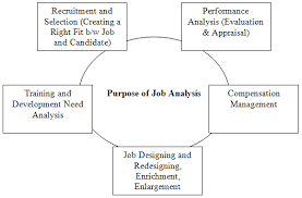 Purpose Of Job Analysis